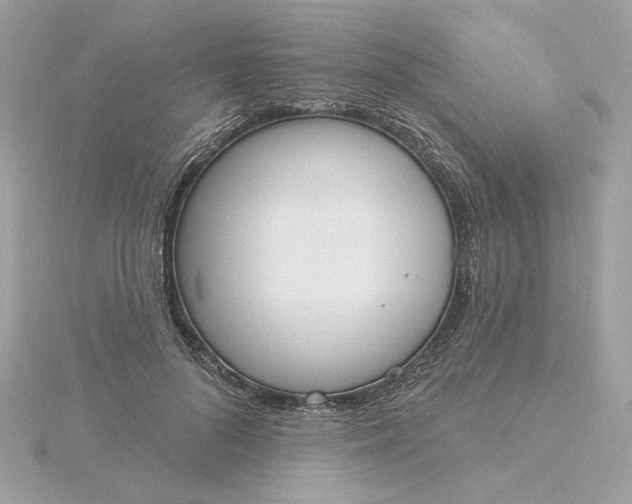 X0000116030696200912041935