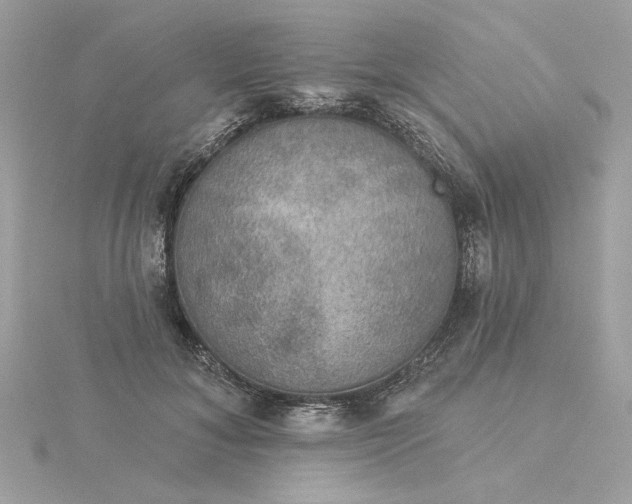 X0000116030700200912041935