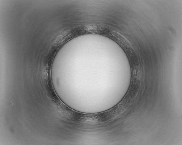 X0000116030702200912041935