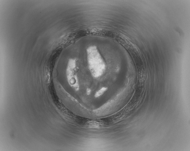 X0000116030703200912041935