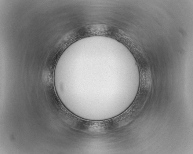 X0000116030705200912041935