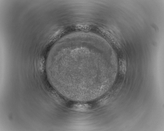 X0000116030712200912041935