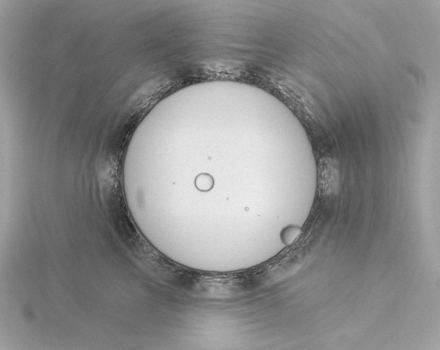 X0000116030713200912041935