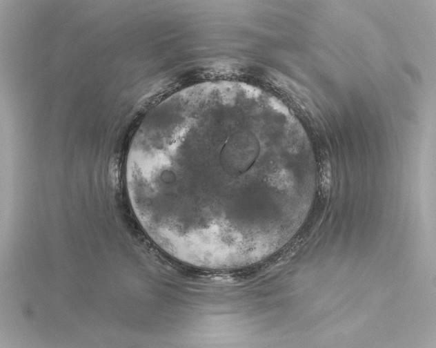 X0000116030715200912041935