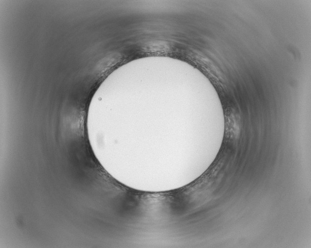 X0000116030717200912041935