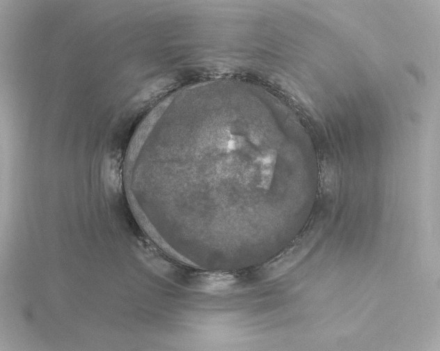 X0000116030719200912041935