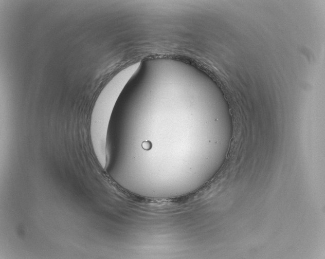 X0000116030720200912041935