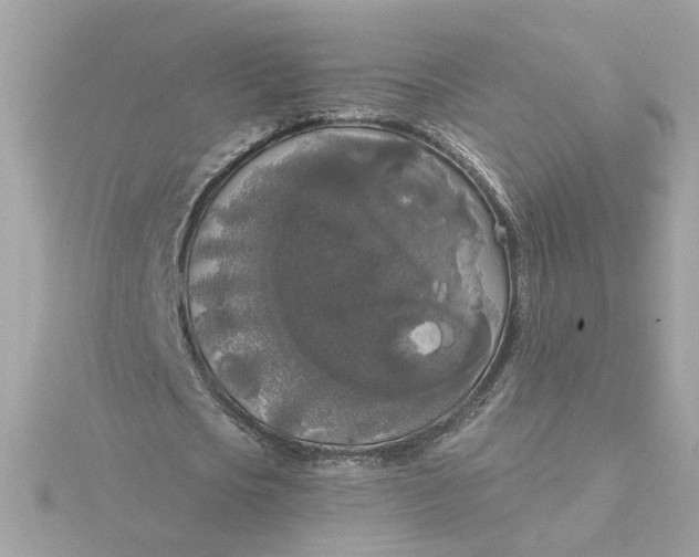 X0000116030721200912041934