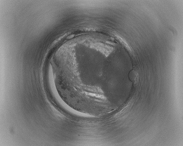 X0000116030722200912041934