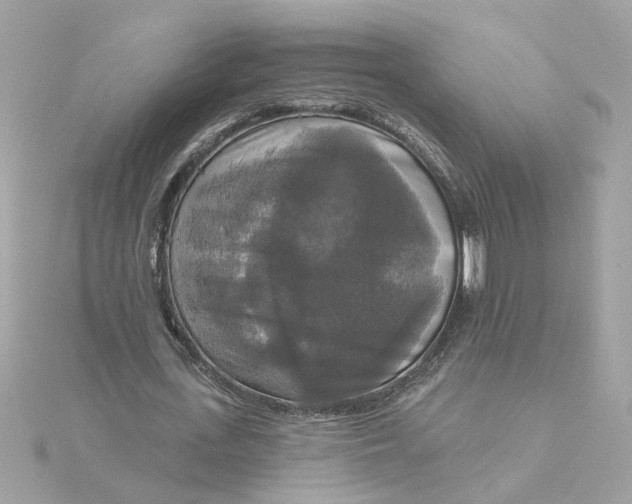 X0000116030723200912041934