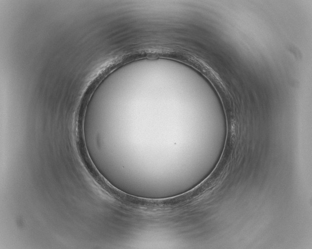 X0000116030725200912041934