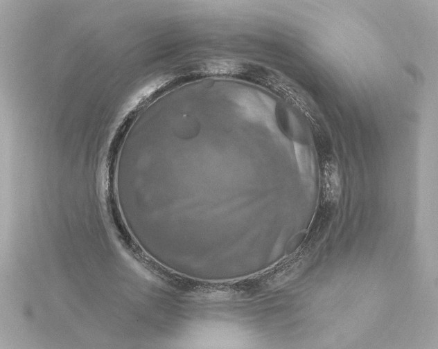 X0000116030726200912041934