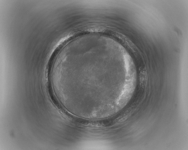 X0000116030727200912041934