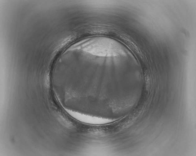 X0000116030729200912041934