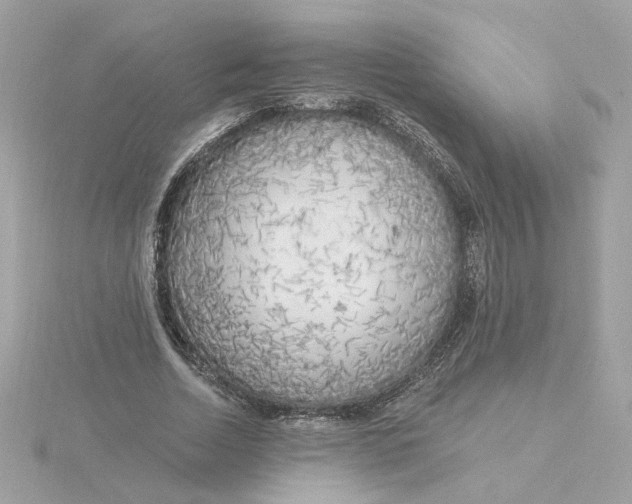 X0000116030730200912041934