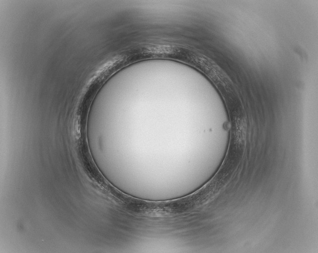 X0000116030731200912041934