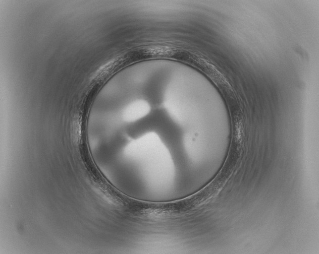 X0000116030733200912041934