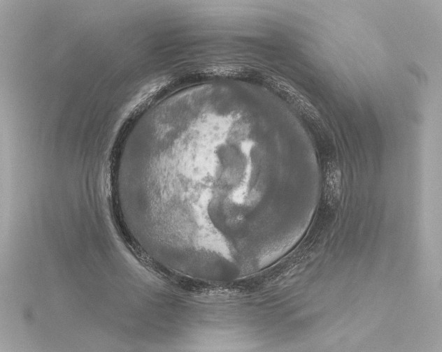 X0000116030734200912041934