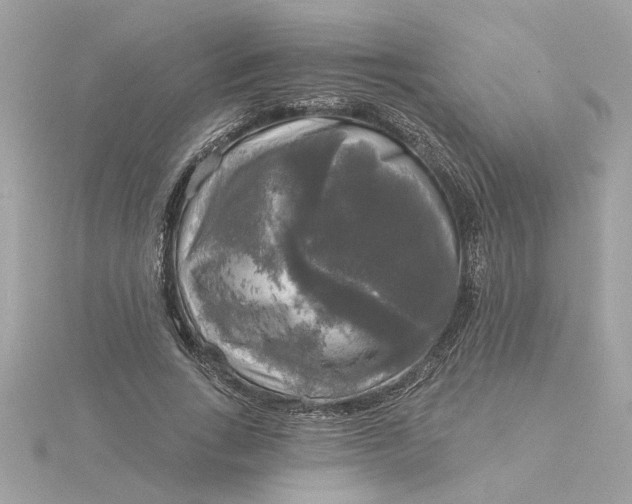 X0000116030735200912041934