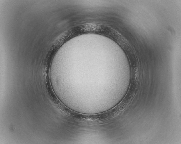 X0000116030737200912041934