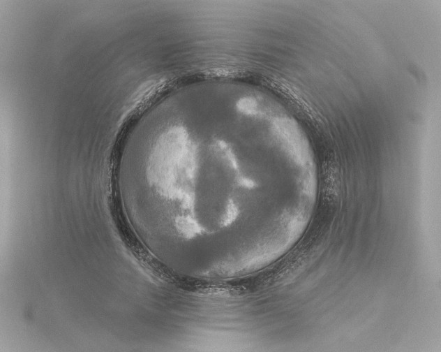 X0000116030738200912041934