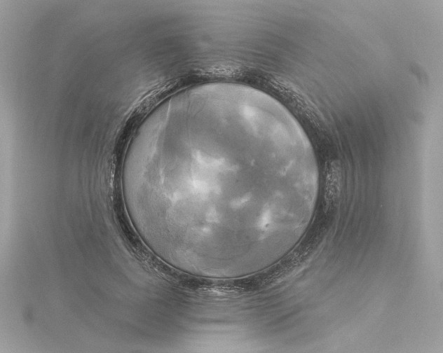 X0000116030739200912041934