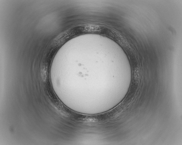 X0000116030741200912041934