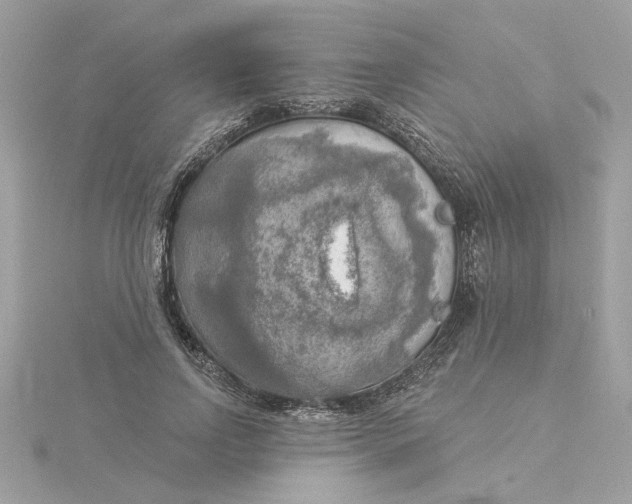 X0000116030742200912041934