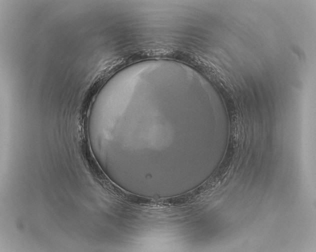 X0000116030743200912041934