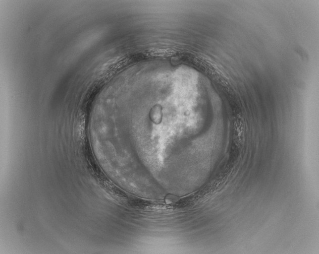 X0000116030745200912041934