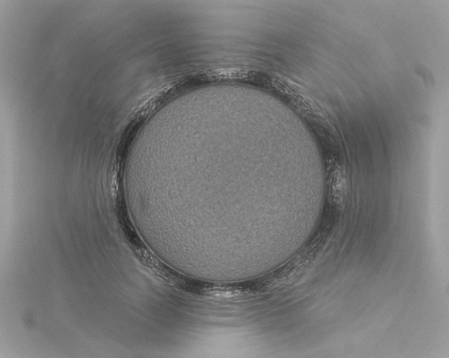 X0000116030746200912041934