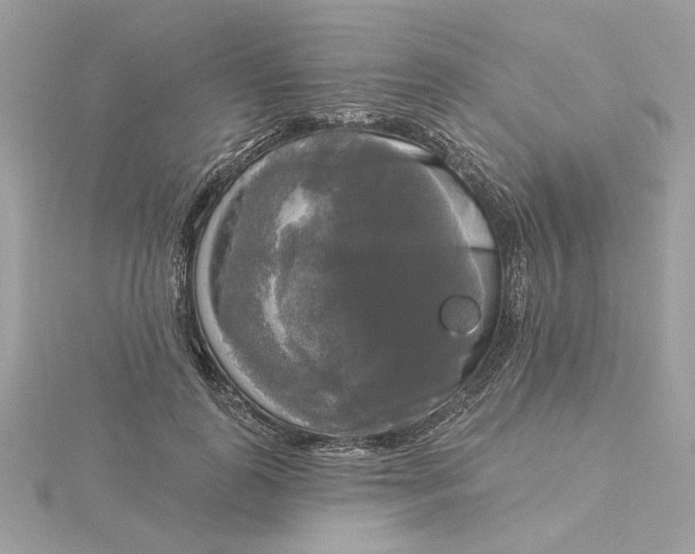 X0000116030747200912041934