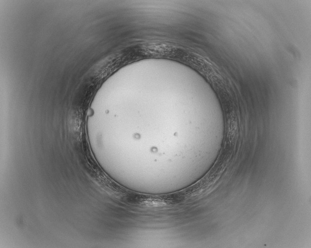 X0000116030749200912041934