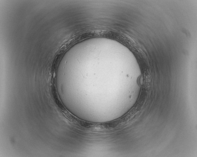 X0000116030750200912041934