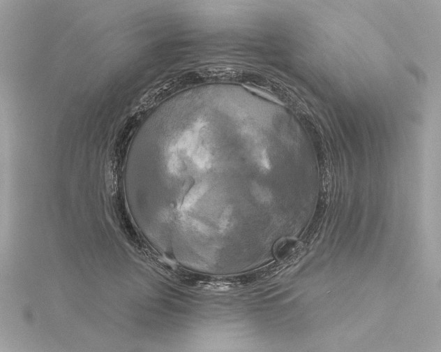 X0000116030751200912041934