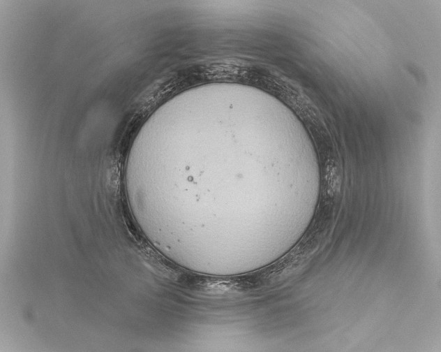 X0000116030753200912041934