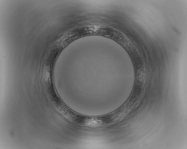 X0000116030754200912041934