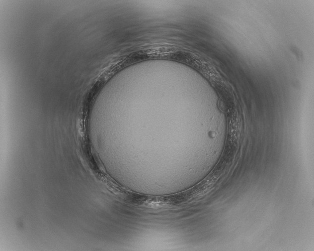 X0000116030755200912041935