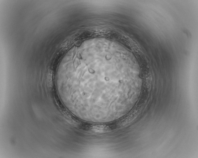 X0000116030757200912041935