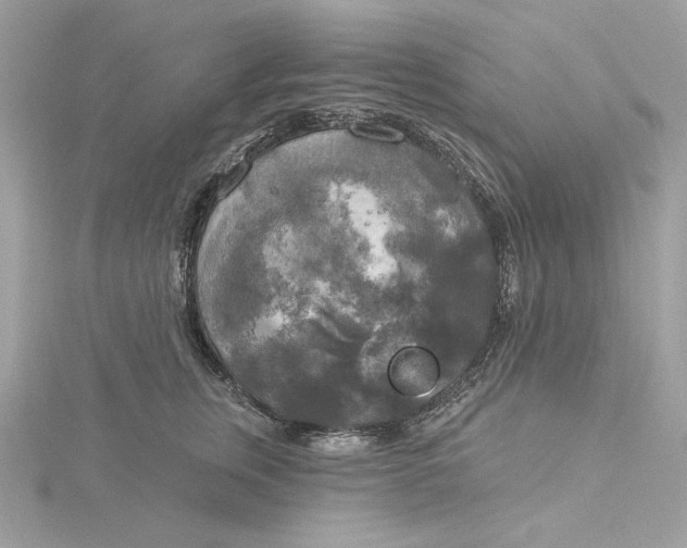 X0000116030759200912041935