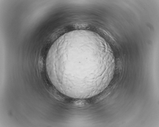 X0000116030761200912041935