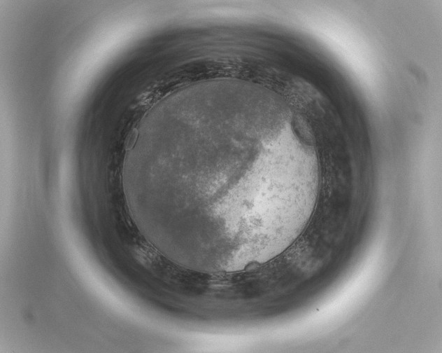 X0000116030766200912041935