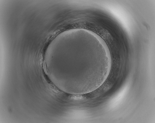 X0000116030767200912041935