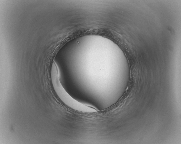 X0000116030769200912041934