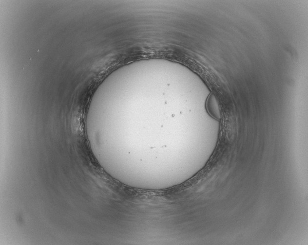 X0000116030770200912041934