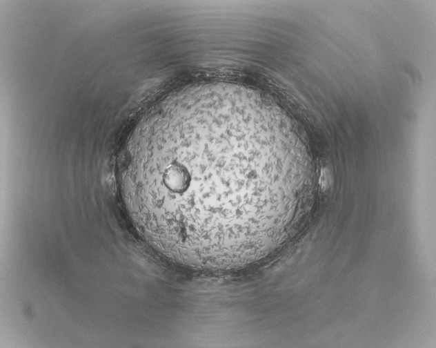 X0000116030771200912041934