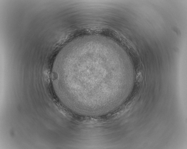 X0000116030772200912041934