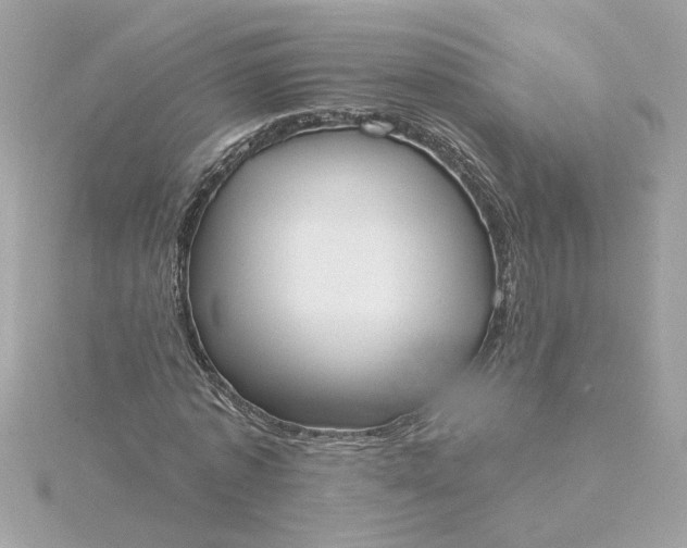 X0000116030773200912041934