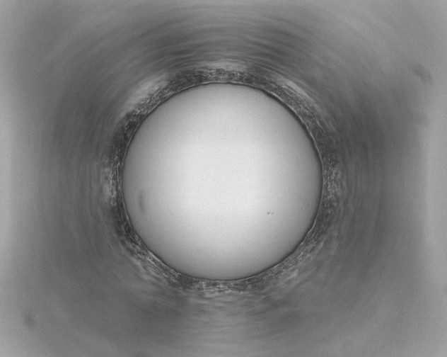 X0000116030774200912041934