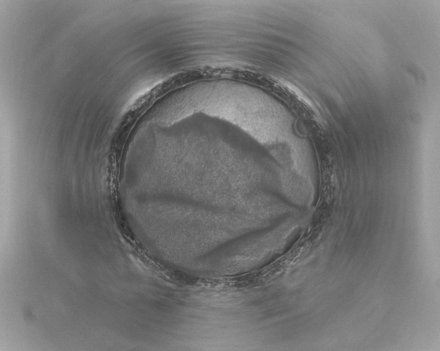 X0000116030775200912041934